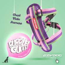 Load image into Gallery viewer, EzyDog Chest Plate Harness