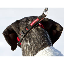 Load image into Gallery viewer, EzyDog Checkmate Training Collar