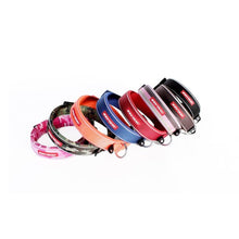 Load image into Gallery viewer, EzyDog Neo Classic Collar