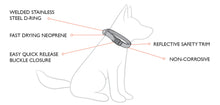 Load image into Gallery viewer, EzyDog Neo Classic Collar